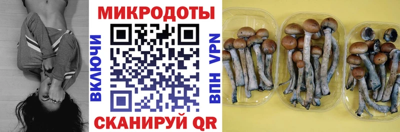 блэк спрут как зайти  Гатчина  Галлюциногенные грибы Cubensis  цены  