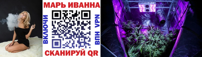 Каннабис гибрид  Гатчина 